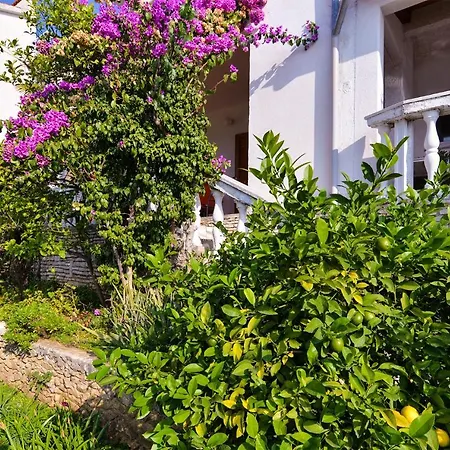 Plominska 938 Apartman Rabac